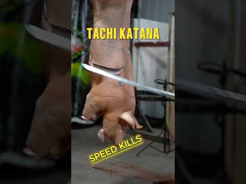 SPEED KILLS W TACHI KATANA. 5 TATAMI MAT TIME