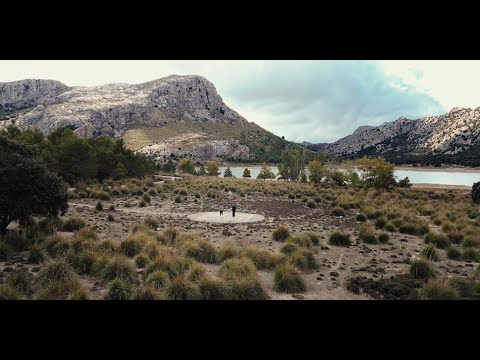 Joel Brandenstein and Nico Gomez