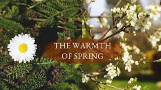 Spring Warmth - Aesthetic Nature | Hours Outside