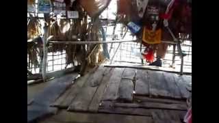 preview picture of video 'Pelican Bar in Black River, Jamaica'