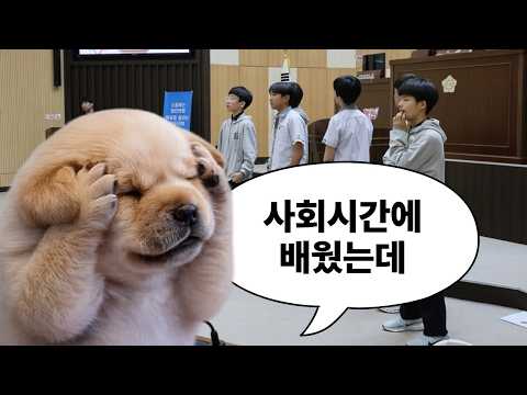 인천중학교 청소년의회교실