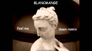 Blancmange - Feel Me (dawn remix)
