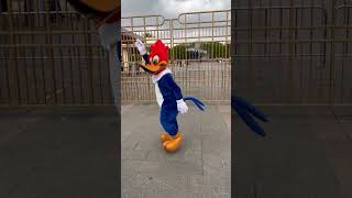 Download lagu Universal Studios Japan Woody Woodpecker Greeting #Shorts mp3