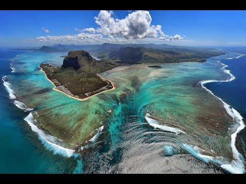 rekin (siven chinien )