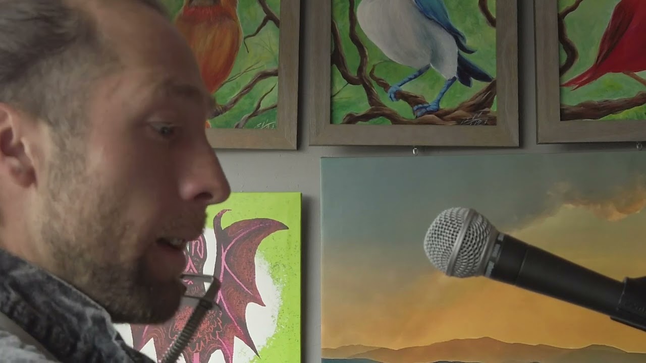 Promotional video thumbnail 3 for Gabriel Coda