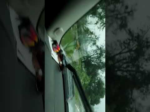 slater iowa after Derecho 2020