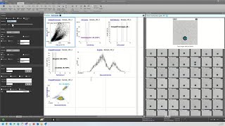 Working with image-derived parameters on the Attune CytPix Flow Cytometer