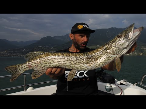 How to fish pike in the Iseo Lake in Italy- 4K by YURI GRISENDI