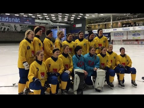 Furfobia Watch Out Official song for Sweden in 2016 Bandy World Championship