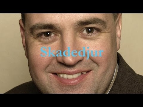 Mattias Alkberg/Södra Sverige - Nöff Nöff
