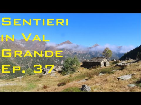 Sentieri in Val Grande ep. 37 - alpe Quagiui