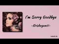 Krisdayanti I M Sorry Goodbye Lirik Lagu