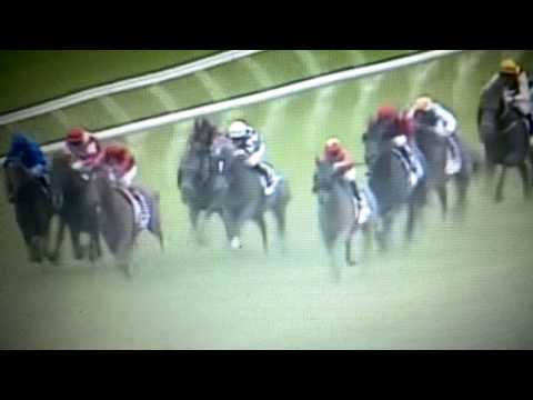 Australian Derby 2015 - Mongolian Khan (Narrado em Português)