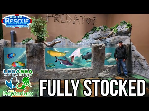 OFR Delivers Truck Load of Monster Fish to the Legasea Aquarium! Pt.2