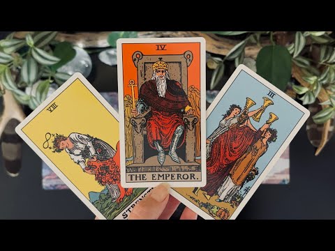 GEMINI “You Have A Special Mission Here!” November 24-30 Tarot