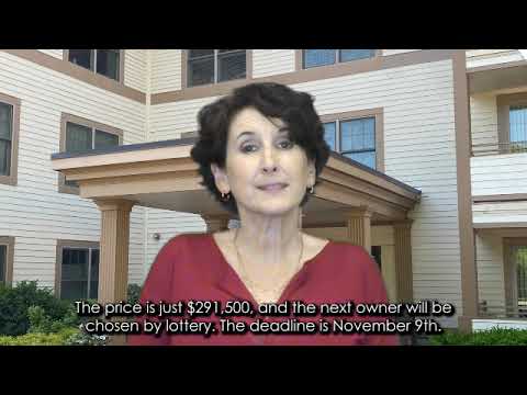 $291,500 CONDO FOR SALE IN WELLESLEY, MA