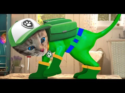 Little Kitten Preschool Adventure Educational Games ⭐ Play Fun Cute Kitten Pet Care Gameplay #1211