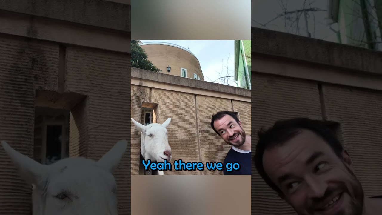 The Hidden Goat Of Tokyo #premiertwo