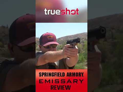Springfield Armory 911 (Pocket Carry 9mm) - TheFirearmGuy