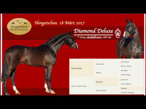 Diamond Deluxe - Hengstschau Greven Rüscher Konermann 2017