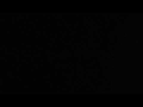 The Fox choir song by:Blake Richer and Taylor shaeffer audio music only