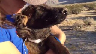 New Rescue Van Saves Sofia and 40 more lives!