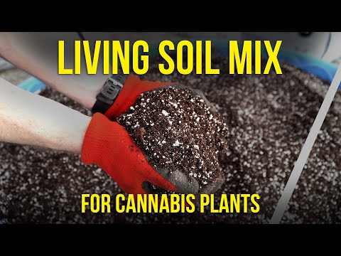 How to make a Living Soil