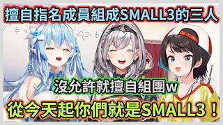 如果要組SMALL3成員會想選誰呢w BIG3三人輪流指名，沒經允許就擅自幫人家組團有夠鬧w【白銀ノエル】【大空スバル】【雪花ラミィ】【Hololive中文】【Vtuber精華】