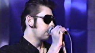 Shane MacGowan & The Popes with Sinead O'Connor - Haunted