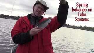 preview picture of video 'Lake Stevens Spring Kokanee'