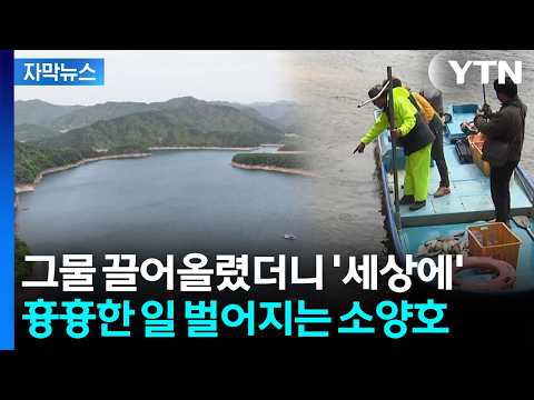 [자막뉴스] 40년 어민도 