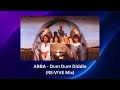 ABBA Dum Dum Diddle RE VIVE Mix