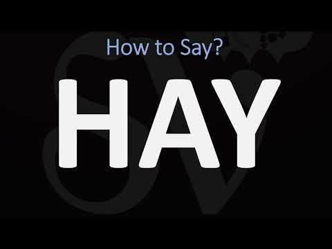 Part of a video titled How to Pronounce HAY? (CORRECTLY) - YouTube