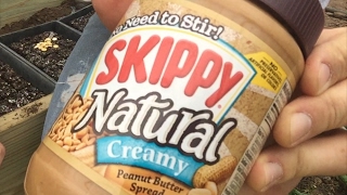 How to Catch a Thief