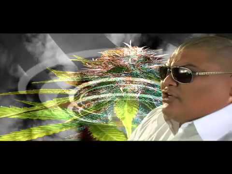 Gain Green Records presents; BIG LA - "LA TIMES" (OFFICIAL MUSIC VIDEO)