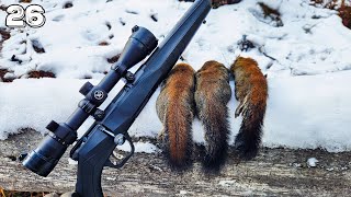 Winter Red Squirrel Hunt, Camp, Cook! | Cabin Camping