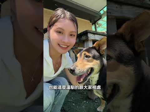 佳佳-網紅與善的距離 - 第2集《貓狗知道》投票區