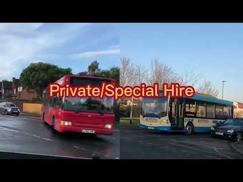 Reptons Coaches (Buses) VS Cardinal Buses