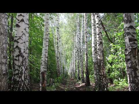 100323 태연의 친한친구 with아이유