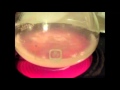 Precipitate 