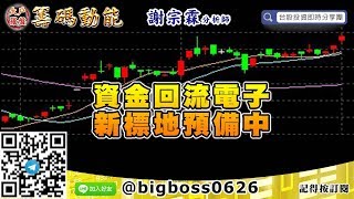 【大戶羅盤籌碼動能】 #謝宗霖0601，資金回流電子 新標地預備中 (圖)