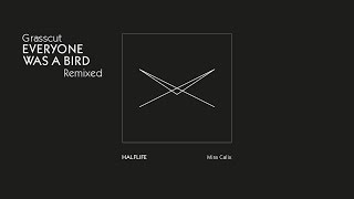 Grasscut — Halflife — Mira Calix Remix