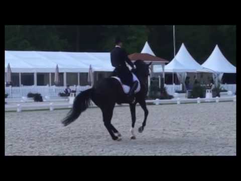 'Tonight...' by Dressage&Music - Borja Carrascosa & Escort - Intermediate Freestyle