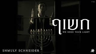 Shmuly Schneider - Chasoif - We Need Your Light | שמולי שניידער - חשוף