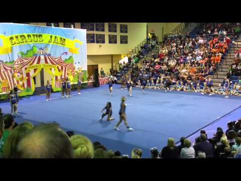 Stingray Allstars Apple at Circus Jam  2015