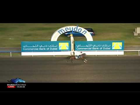 08.12.2011 Meydan (Dubai UAE) 1.Race Mazrat Al Ruwayah Conditions Race 1,600 m