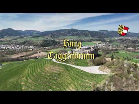Burg Taggenbrunn 4K