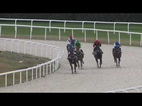 2022.11.06. 06. futam - BENSON VILMOS EMLÉKVERSENY - LOVASUTÁNPÓTLÁS HENDIKEP (V.o.)(szintetikus)