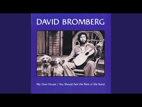 Cocaine Blues - David Bromberg