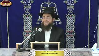 טבעת אירוסין שנקנתה בהנחה ואח"כ נתבטלו האירוסין ¤ הדיין הרב דוד אטדגי ¤ י"ח תמוז תשפ"ה (14.7.2025) (מוסדות תורת דוד) - התמונה מוצגת ישירות מתוך אתר האינטרנט יוטיוב. זכויות היוצרים בתמונה שייכות ליוצרה. קישור קרדיט למקור התוכן נמצא בתוך דף הסרטון